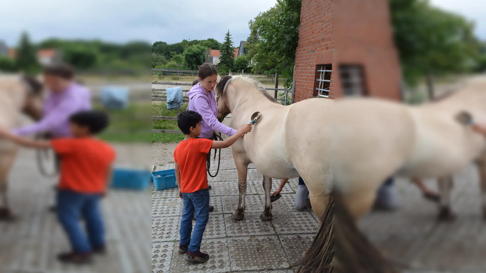 Erst die Arbeit - dann das Vergnügen. Amir (8) putzt das Fell von Pferdinand, bevor es auf den Reitplatz geht. (Foto: ab)
