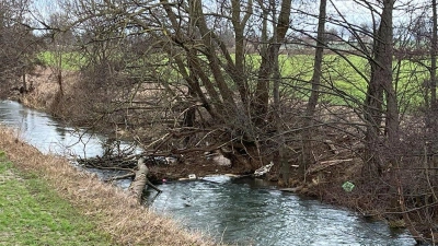 Ein querliegender Baumstamm in der Rodenberger Aue löst Besorgnis aus. (Foto: privat)