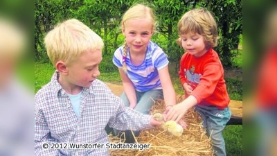 Kindergarten wird zum lebendigen Hühnerstall (Foto: pd)