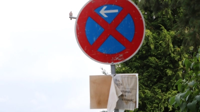 Die Maschstraße einschließlich der Bankette ist in einem schlechten Zustand, eine Grundsanierung wäre nötig.  (Foto: gi)