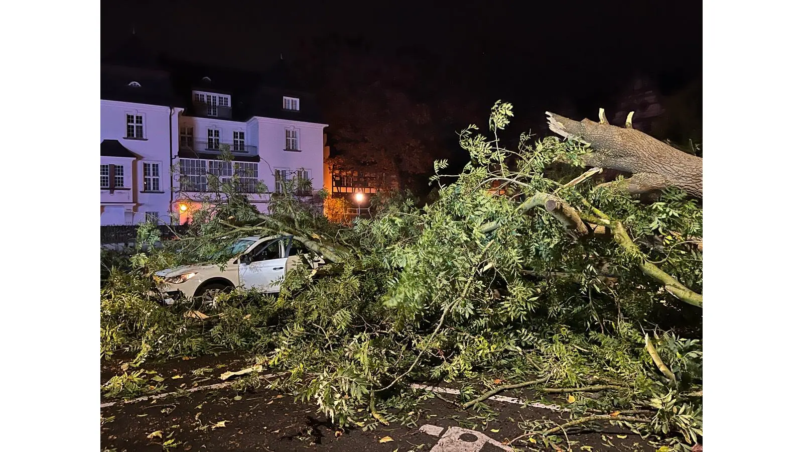 Eine große Eiche in der Tonhallenstraße ist auf einen PKW mit zwei Insassinnen gefallen. (Foto: Polizei)