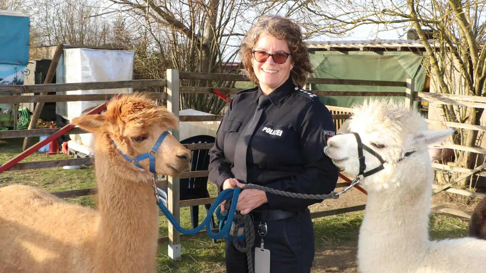 Britta Schwarz hat sich schon mit den Alpakas angefreundet: Sie werden am 1. April beim Kommissariat erwartet. (Foto: gi)