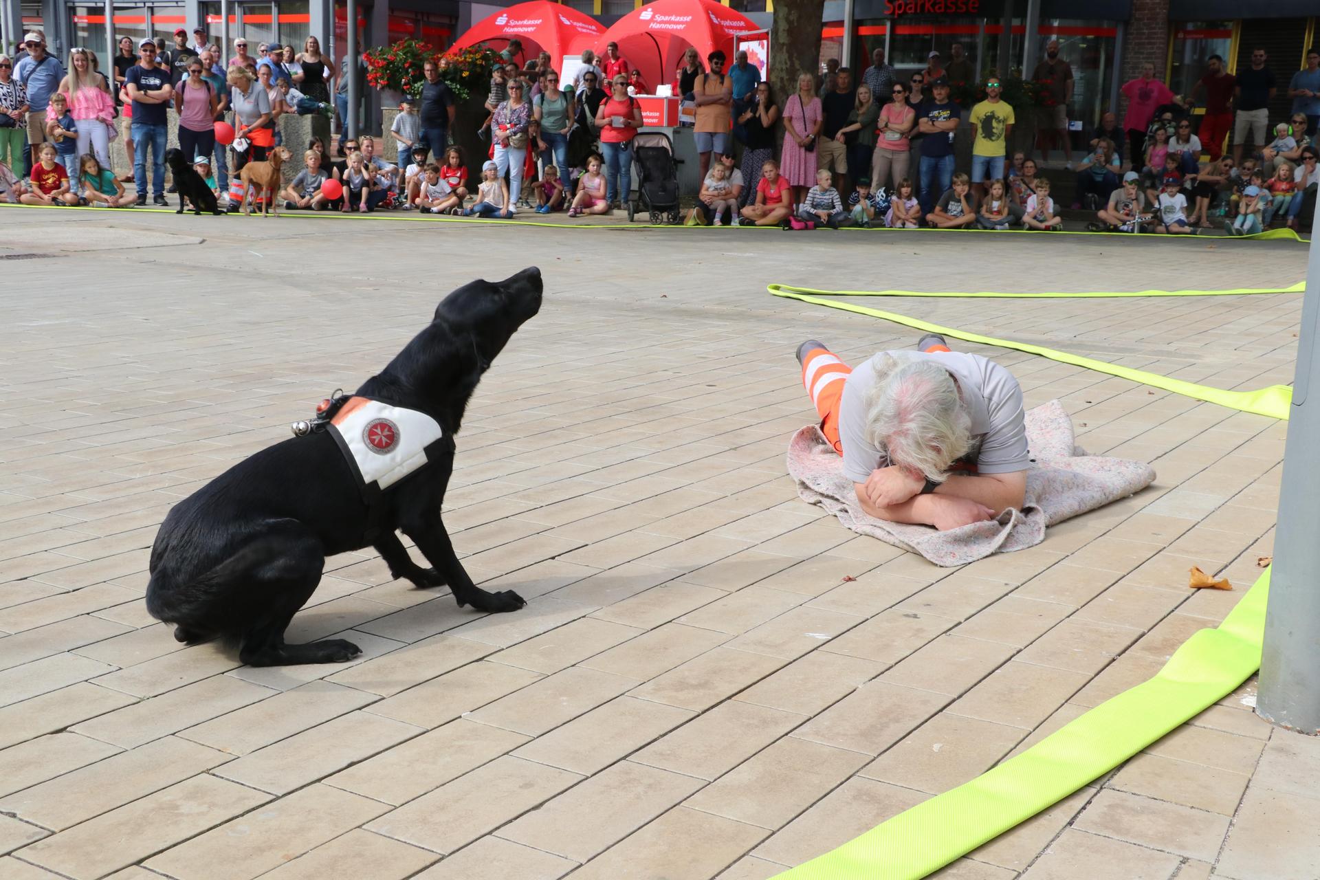 Beeindruckt waren die Besucher von der Johanniter-Rettungshundestaffel (Foto: gi)