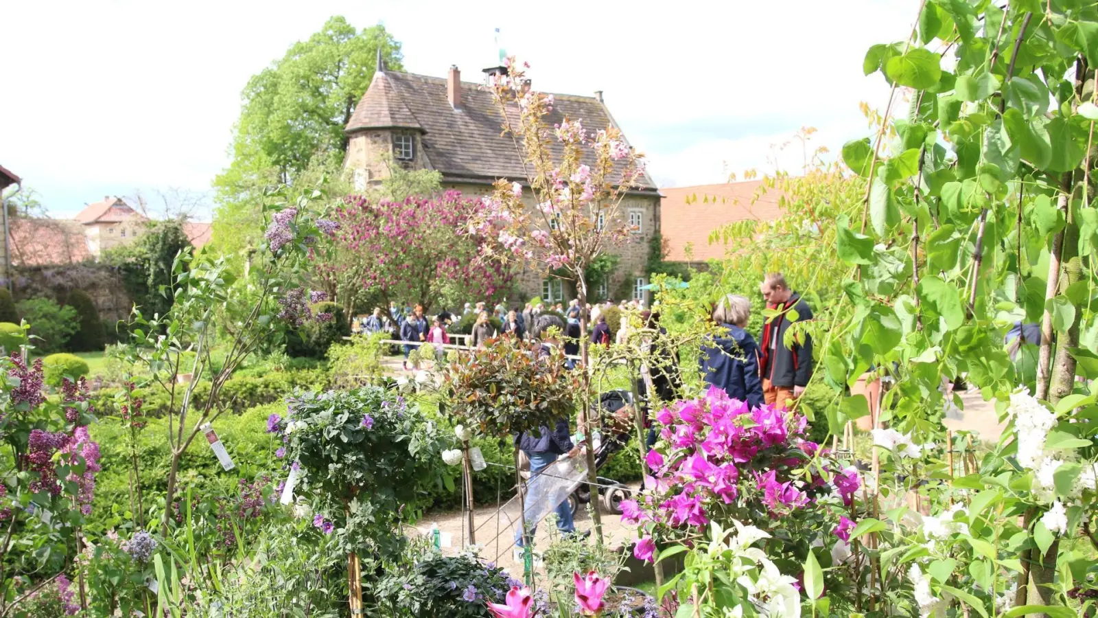 Die „Pflanzentage” auf dem Rittergut Remeringhausen laden dazu ein, sich für die Gartengestaltung anregen zu lassen und den Austausch mit weiteren Gartenfreunden und Fachleuten zu suchen.  (Foto: Borchers, Bastian [bb] (bbborchers@arcor.de, borchers))