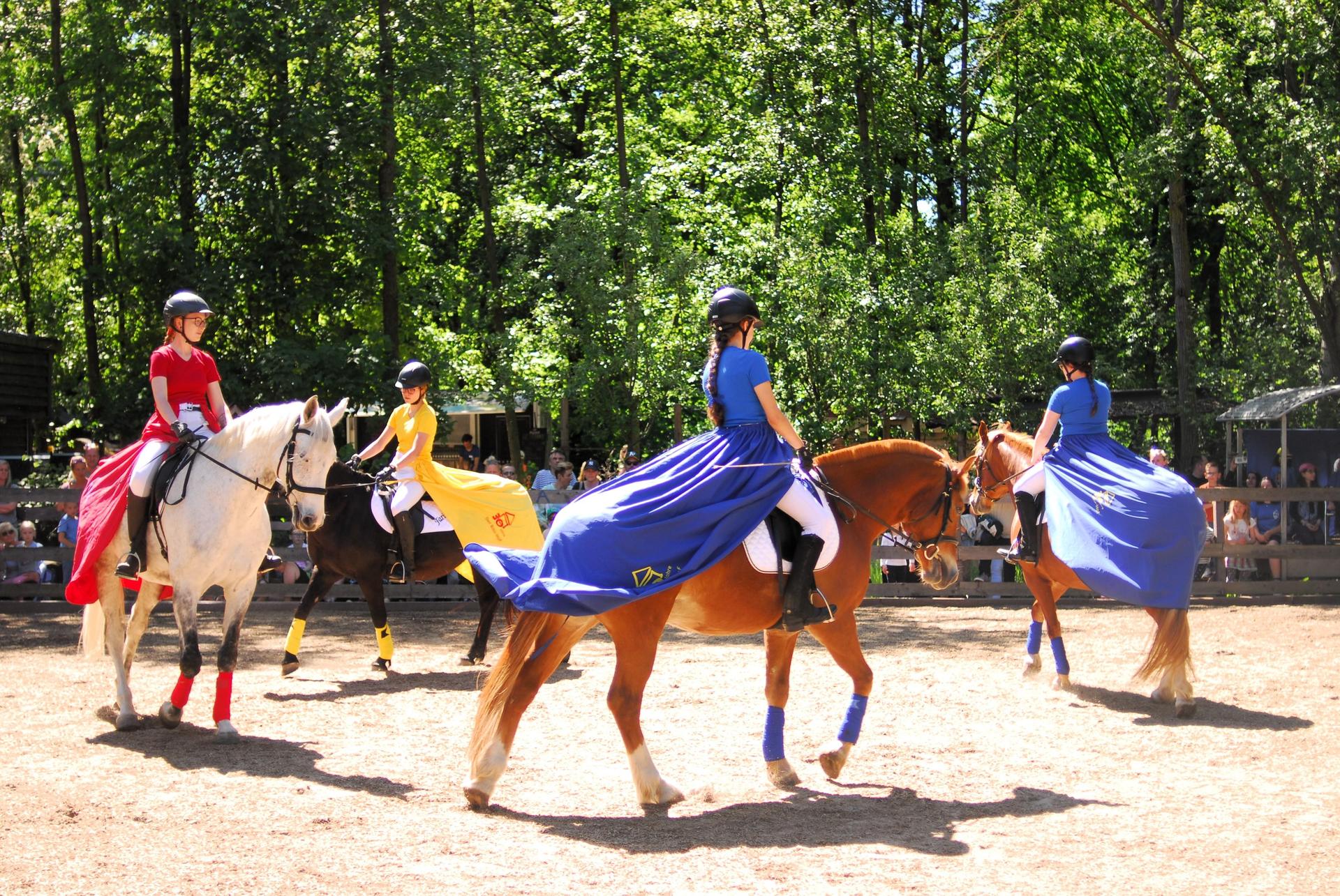 Einer der Showacts: Eine Choreografie mit Pferden. (Foto: privat)