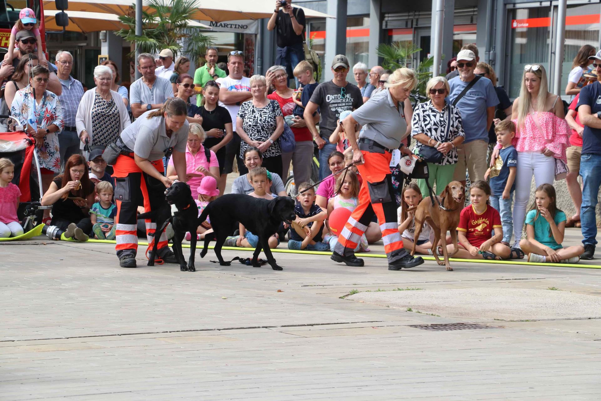 Eindrücke vom Rettertag in der Innenstadt und bei den Stadtwerken. (Foto: gi)