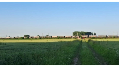 Gesamtansicht der Einsatzstelle. (Foto: Feuerwehr Minden)