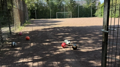 Umstrittenes Gelände: Der Bolzplatz Adlerhorst in Luthe. (Foto: privat)