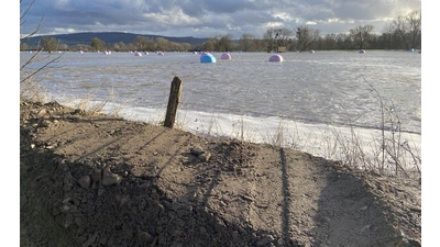 An der ost-Contrescarpe fehlten beim Weihnachtshochwasser 2023/'24 nur noch wenige Zentimeter bis zu einer Katastrophe. (Foto: ste)