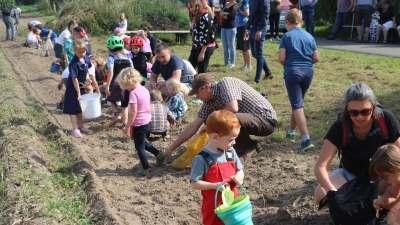 Sammeln die Knollen auf: Die Kinder mit ihren Eimern. (Foto: gi)