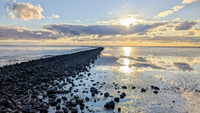 Jutta Grätz: End of Summer. (Foto: Jutta Grätz)