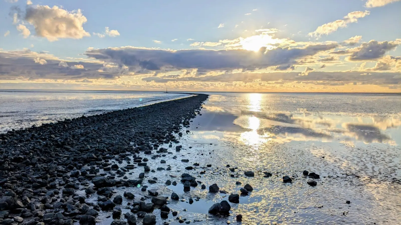 Jutta Grätz: End of Summer. (Foto: Jutta Grätz)