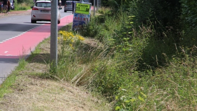 Weil die Nacharbeiten fehlen, bleibt das Grün an den Leitpfosten stehen.  (Foto: gi)