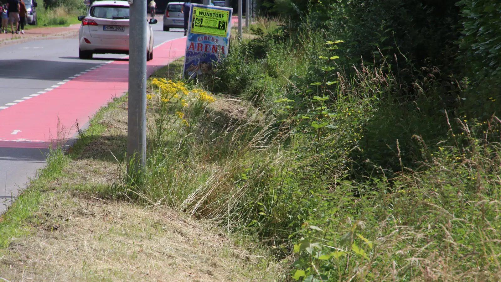 Weil die Nacharbeiten fehlen, bleibt das Grün an den Leitpfosten stehen.  (Foto: gi)