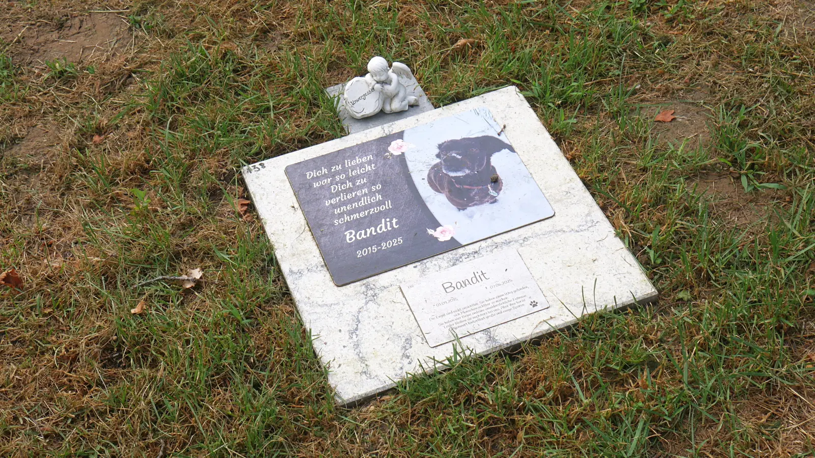 Tierbestattung: Ein Beispiel vom Tierfriedhof in Wunstorf (Foto: gk)