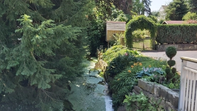 Öffentliches Grün muss Privaten nicht nachstehen, wenn Bürger mit anpacken. (Foto: gk)