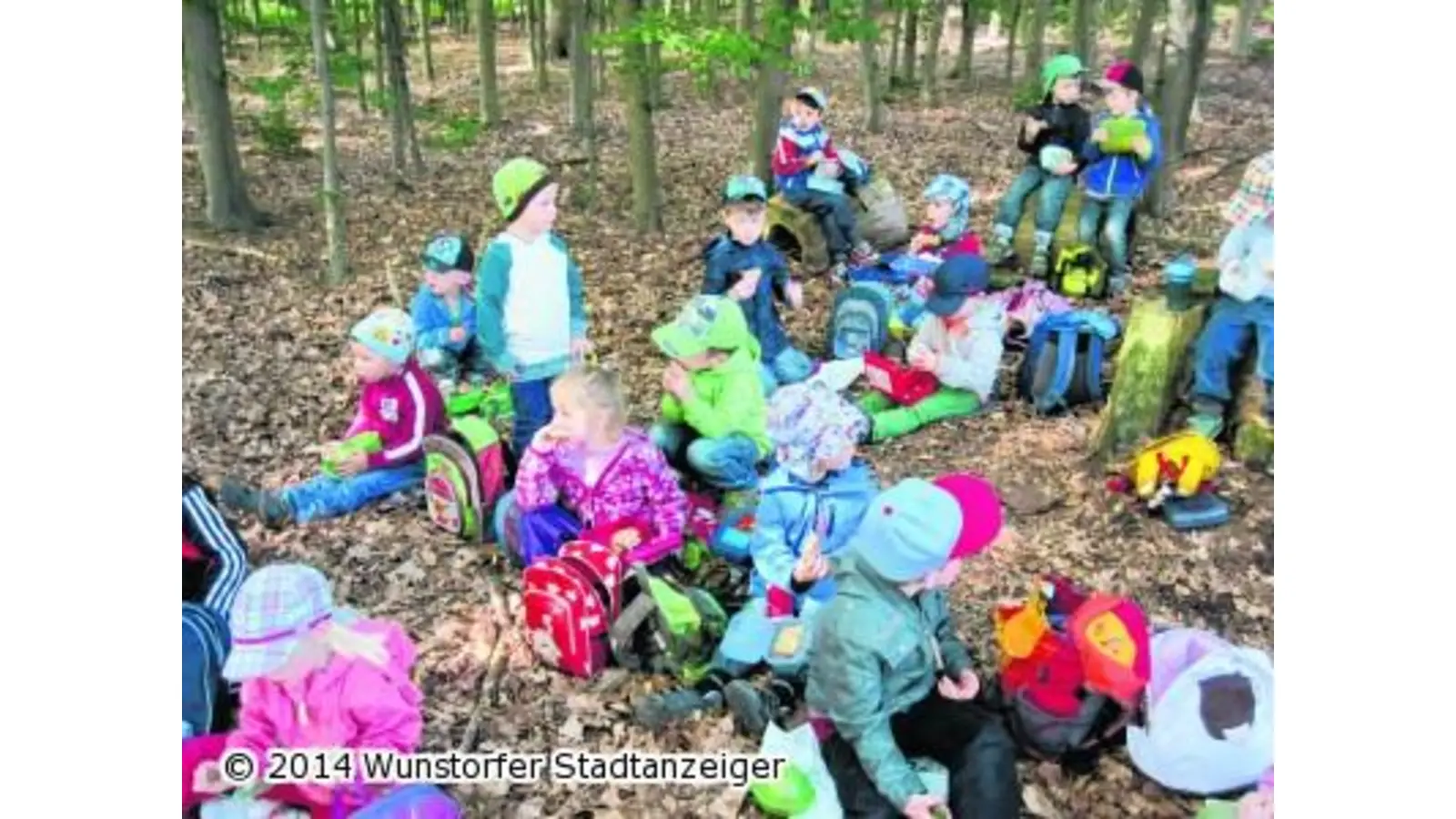 Drei Tage unterwegs im Wald (Foto: mk)