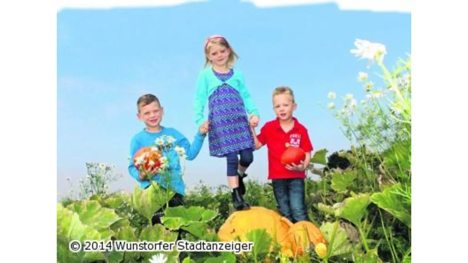 Groß geworden mit großen Kürbissen (Foto: jan)