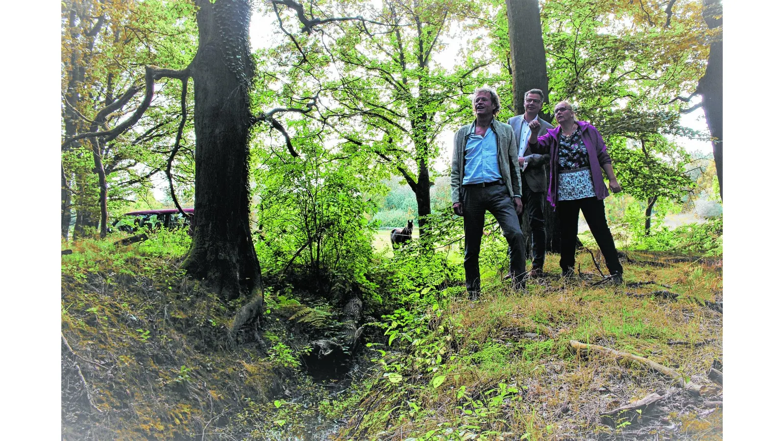 17 Zisterzienser-Kommunen beantragen Europäisches Kulturerbe-Siegel (Foto: jan)