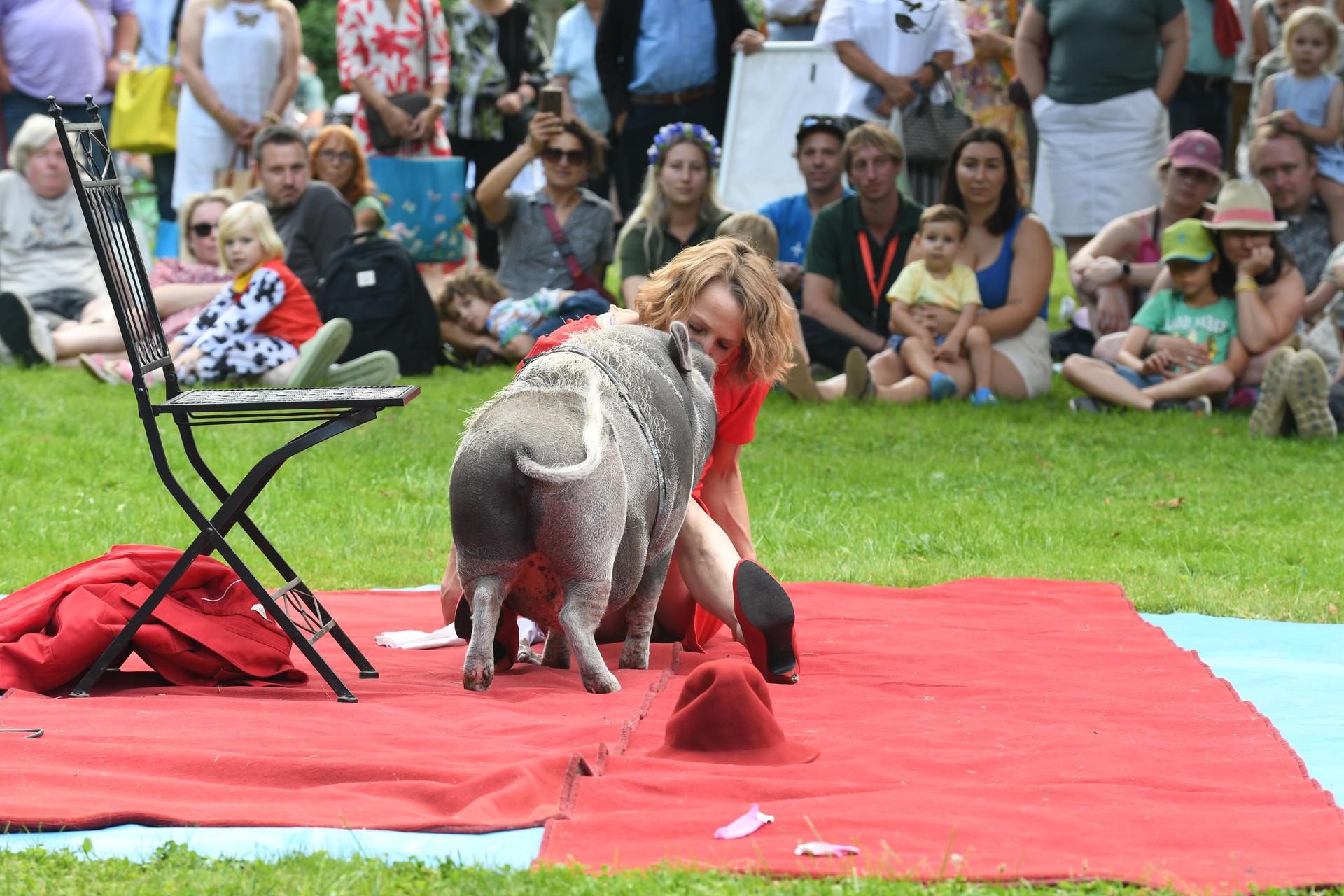 Drei Tage lang verwandelte sich das Rittergut Remeringhausen in ein Paradies für Garten- und Kunstliebhaber: Das beliebte Fest „Romantic Garden“ feierte seinen 25. Geburtstag. Bei strahlendem Sommerwetter strömten zahlreiche Besucherinnen und Besucher auf das idyllische Gutsgelände, um ein abwechslungsreiches Programm aus Ausstellungen, Musik und kulinarischen Angeboten zu genießen. Die gut gelaunten Gäste und das hervorragende Wetter sorgten für beste Stimmung, und auch die Aussteller zeigten sich rundum zufrieden. (Foto: nd)