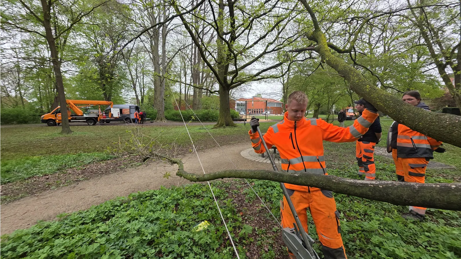 Beim Anziehen der Seile: Mitarbeiter des Baubetriebshofes. (Foto: tau)