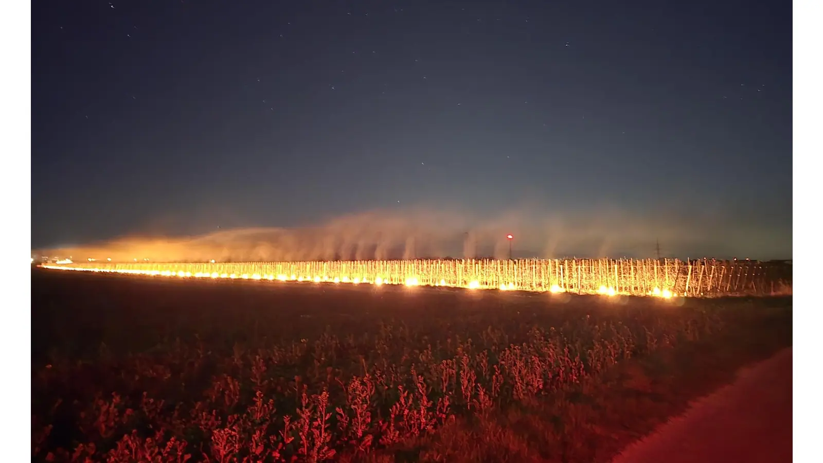 Es sieht von Ferne einem Flächenbrand schon sehr ähnlich. (Foto: privat)