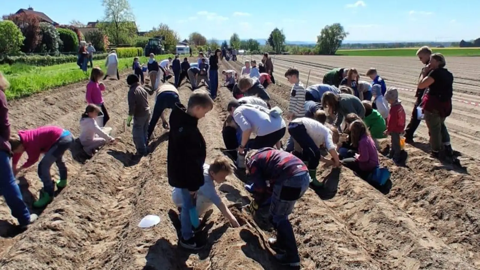 Auf dem Feld: Die Teilnehmer der Pflanzaktion. (Foto: privat)