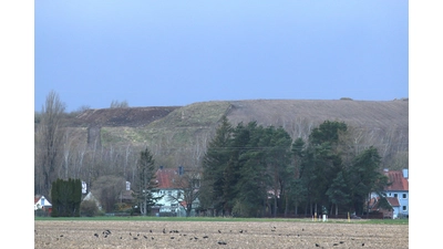 Auf der Halde und in der Umgebung könnte Strom für 6.500 Haushalte erzeugt werden.  (Foto: Borchers, Bastian)