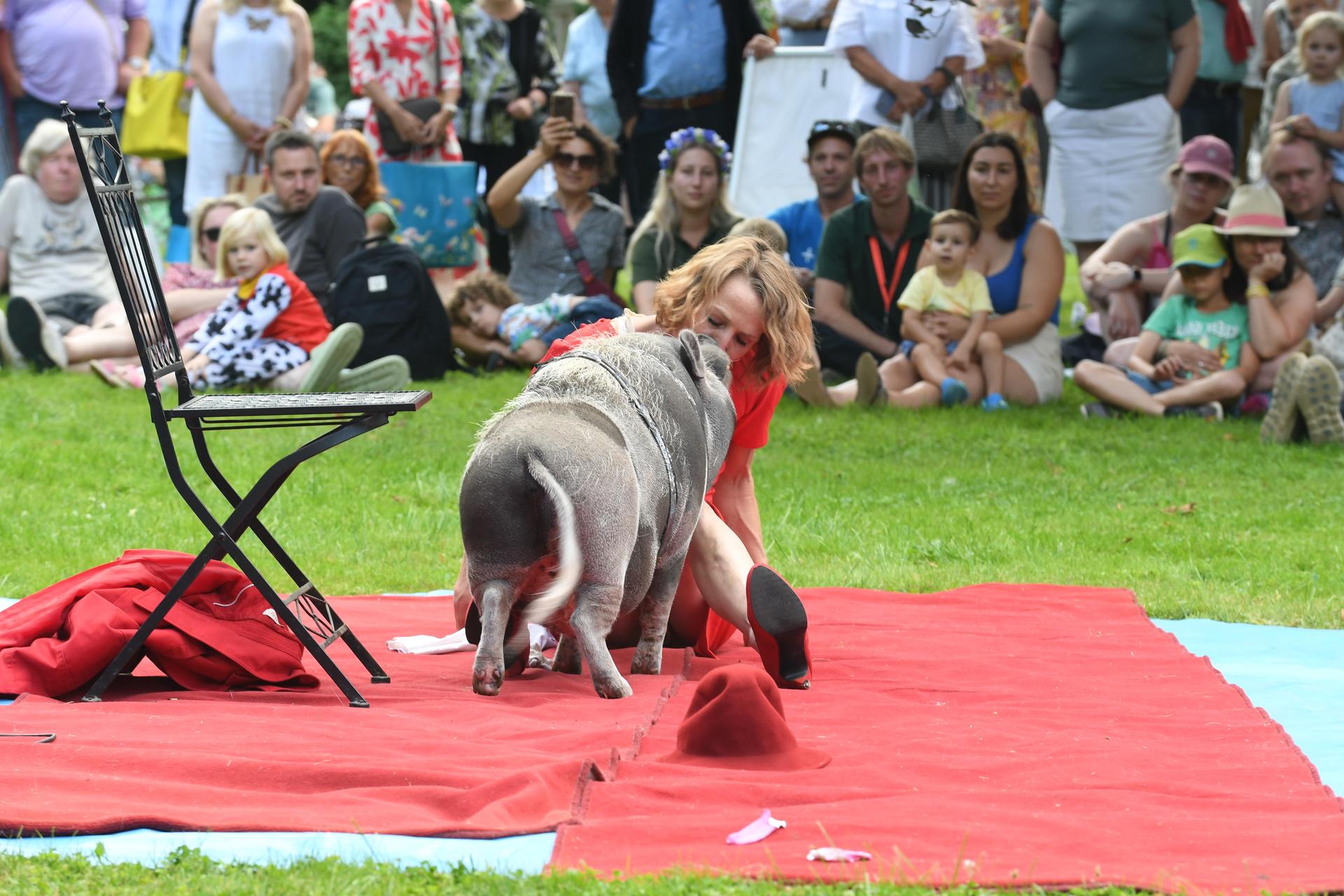 Drei Tage lang verwandelte sich das Rittergut Remeringhausen in ein Paradies für Garten- und Kunstliebhaber: Das beliebte Fest „Romantic Garden“ feierte seinen 25. Geburtstag. Bei strahlendem Sommerwetter strömten zahlreiche Besucherinnen und Besucher auf das idyllische Gutsgelände, um ein abwechslungsreiches Programm aus Ausstellungen, Musik und kulinarischen Angeboten zu genießen. Die gut gelaunten Gäste und das hervorragende Wetter sorgten für beste Stimmung, und auch die Aussteller zeigten sich rundum zufrieden. (Foto: nd)