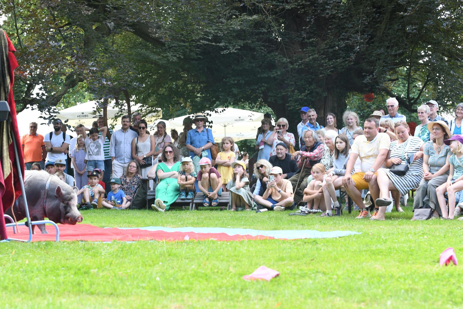 Drei Tage lang verwandelte sich das Rittergut Remeringhausen in ein Paradies für Garten- und Kunstliebhaber: Das beliebte Fest „Romantic Garden“ feierte seinen 25. Geburtstag. Bei strahlendem Sommerwetter strömten zahlreiche Besucherinnen und Besucher auf das idyllische Gutsgelände, um ein abwechslungsreiches Programm aus Ausstellungen, Musik und kulinarischen Angeboten zu genießen. Die gut gelaunten Gäste und das hervorragende Wetter sorgten für beste Stimmung, und auch die Aussteller zeigten sich rundum zufrieden. (Foto: nd)