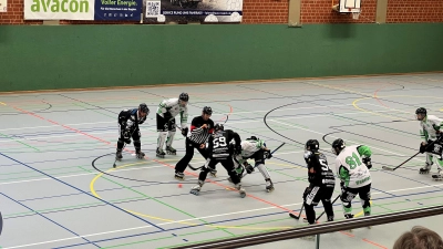 Beim Bully: Die Lions und die Panther. (Foto: privat)