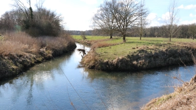 Die Südaue (li.) und die Westaue weisen etwas niedrigere Stickstoffwerte als andere Gewässer in der Region auf.  (Foto: gi)