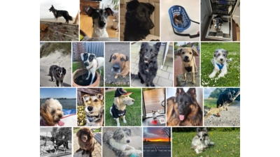 Stimmen Sie mit ab! Bis zum 9. Oktober lassen wir die Voting-Seite geöffnet. (Foto: privat)