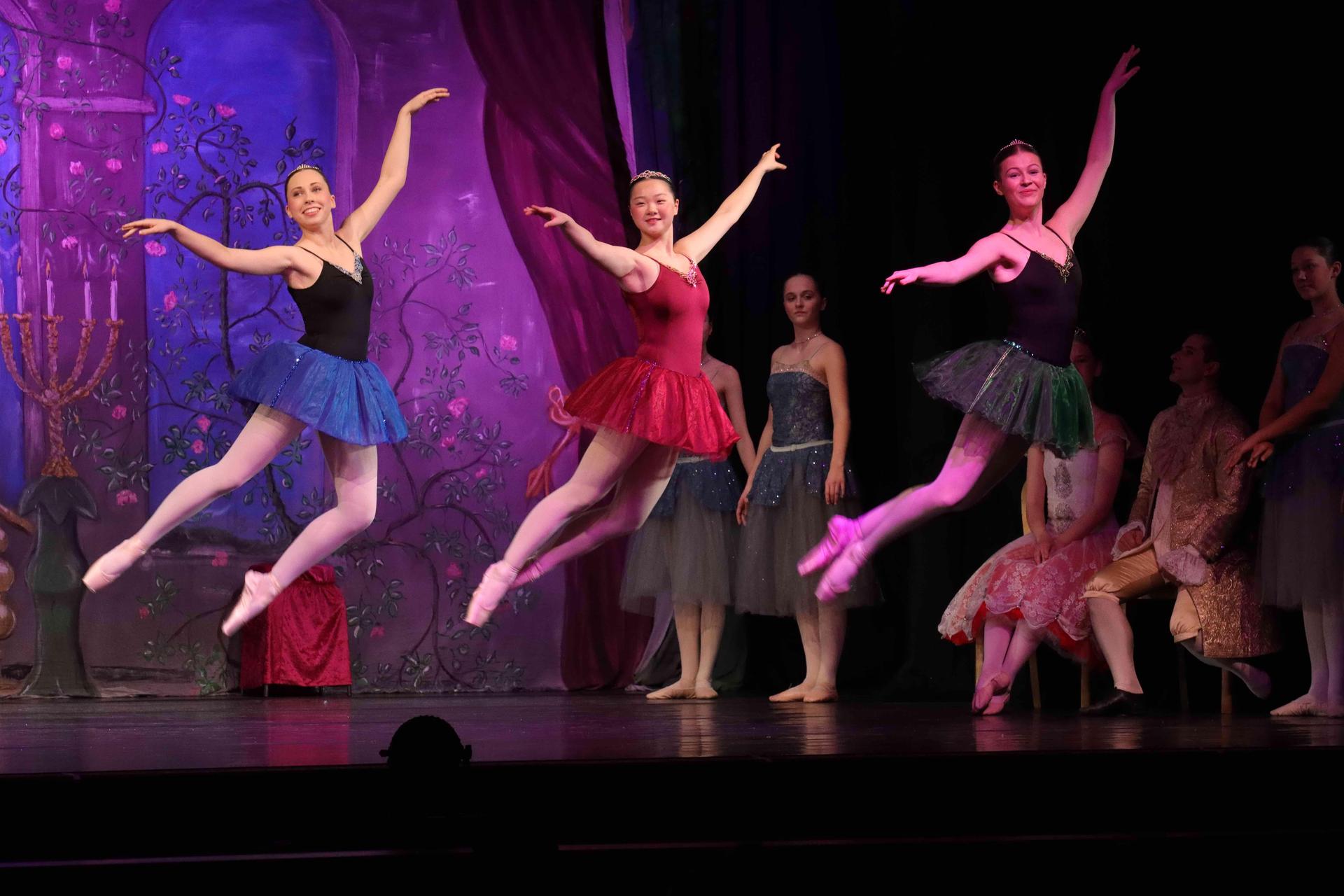 Premiere: Dornröschen im Stadttheater. (Foto: tau)