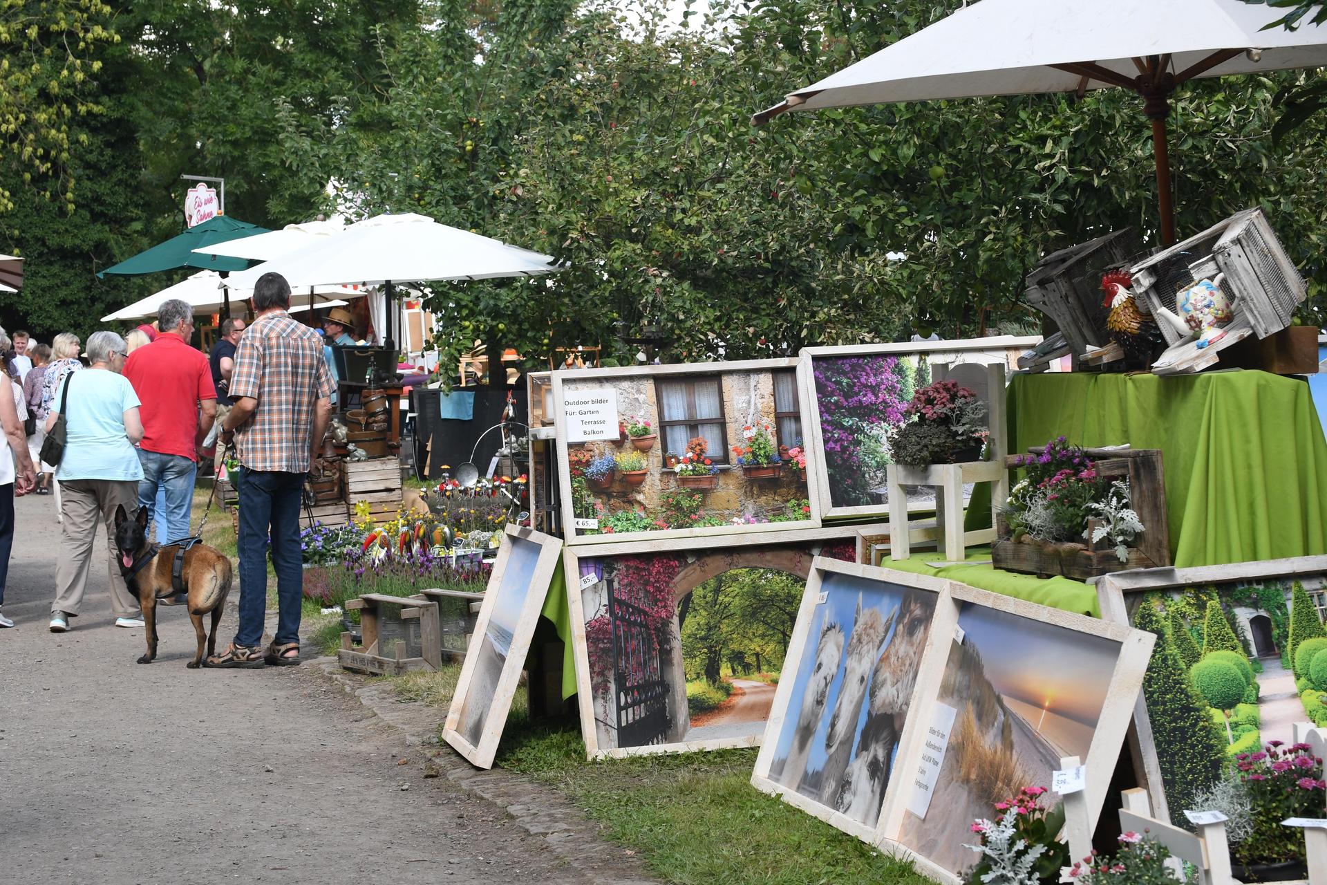 Drei Tage lang verwandelte sich das Rittergut Remeringhausen in ein Paradies für Garten- und Kunstliebhaber: Das beliebte Fest „Romantic Garden“ feierte seinen 25. Geburtstag. Bei strahlendem Sommerwetter strömten zahlreiche Besucherinnen und Besucher auf das idyllische Gutsgelände, um ein abwechslungsreiches Programm aus Ausstellungen, Musik und kulinarischen Angeboten zu genießen. Die gut gelaunten Gäste und das hervorragende Wetter sorgten für beste Stimmung, und auch die Aussteller zeigten sich rundum zufrieden. (Foto: nd)