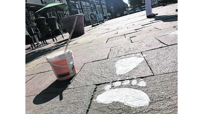 Führung zu Nienburgs Steinen (Foto: jan)