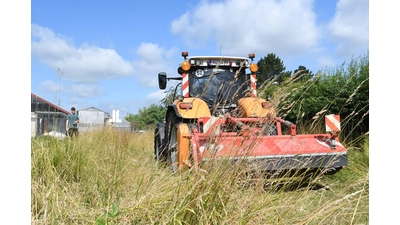 Nachdem Eike Zech sich (wieder einmal) bei der Stadt über den Bewuchs im Flutgraben beschwert hat, kam genau zum Interviewtermin auch ein Mitarbeiter zum Mähen vorbei. (Foto: nd)