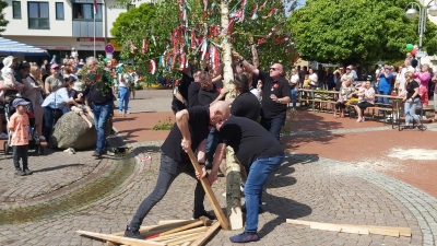 Die Dragons richten den Maibaum auf dem Amtsplatz auf. (Foto: gk)