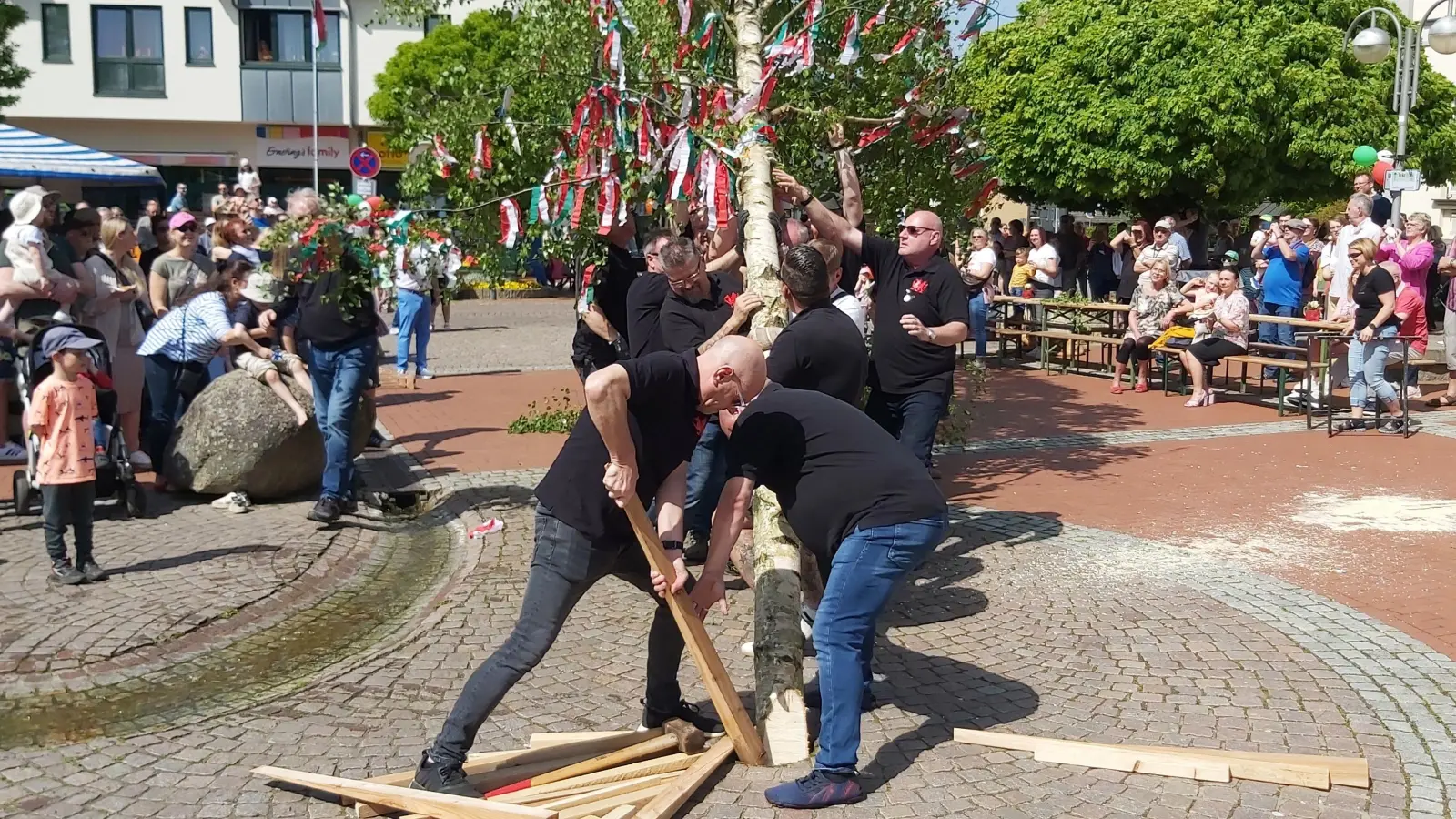 Die Dragons richten den Maibaum auf dem Amtsplatz auf. (Foto: gk)