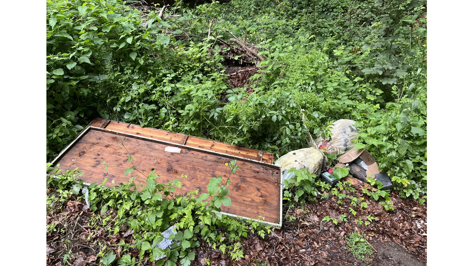 Unerlaubte Müllablagerung L434 (Foto: polizei)