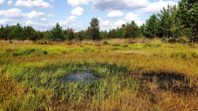 Wieder im Angebot: Moorwanderungen.  (Foto: Jörg Schneider)