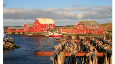 Fischfang auf den Lofoten. (Foto: privat)