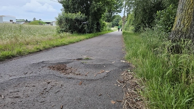 Schlechter baulicher Zustand: Viele Radwege sind nur eingeschränkt nutzbar. (Foto: tau)