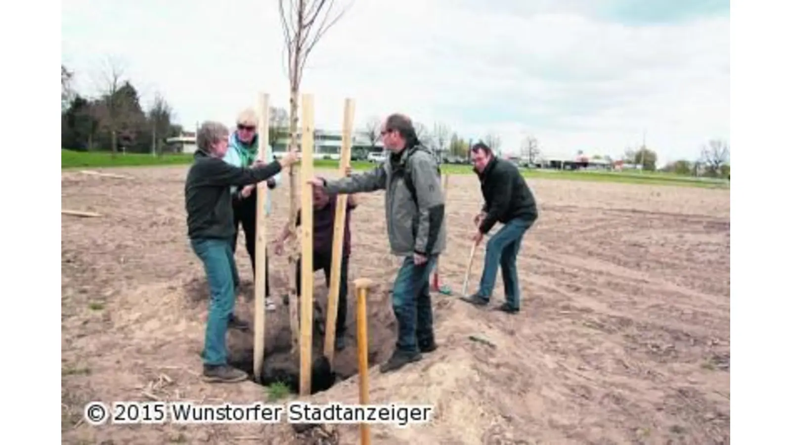Grüne pflanzen drei Bäume (Foto: gi)