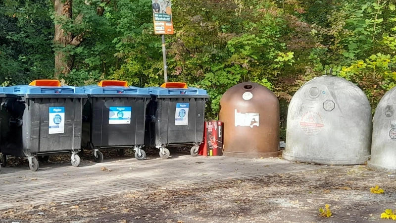 Gehört nicht neben die Altpapiercontainer: Pappkarton. (Foto: wb)