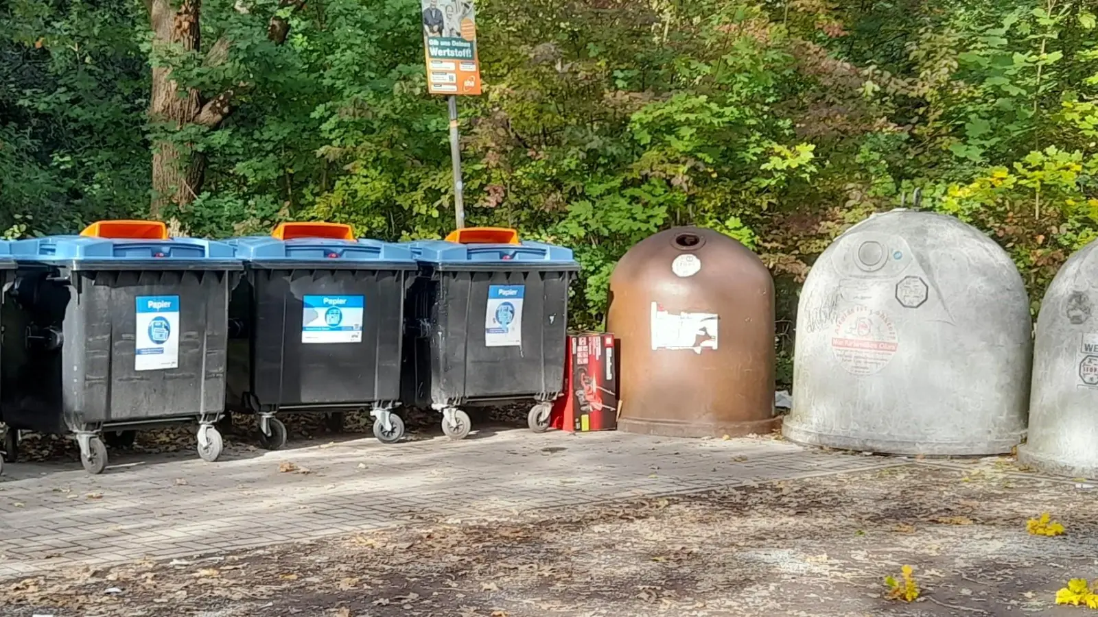 Gehört nicht neben die Altpapiercontainer: Pappkarton. (Foto: wb)