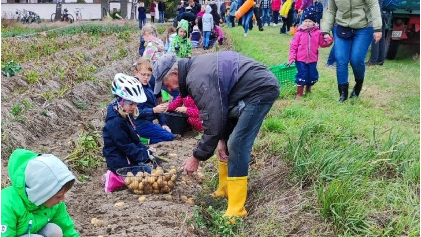Mit Kindern: Kartoffelernte in Klein Heidorn. (Foto: privat)