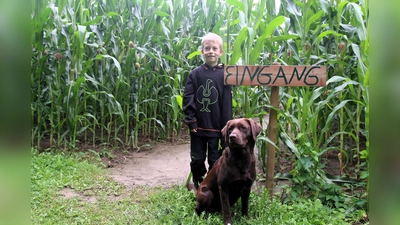 Moritz (7) freut sich ebenso wie Hund Lilli auf viele Besucher im Maislabyrinth.  (Foto: Borchers, Bastian)