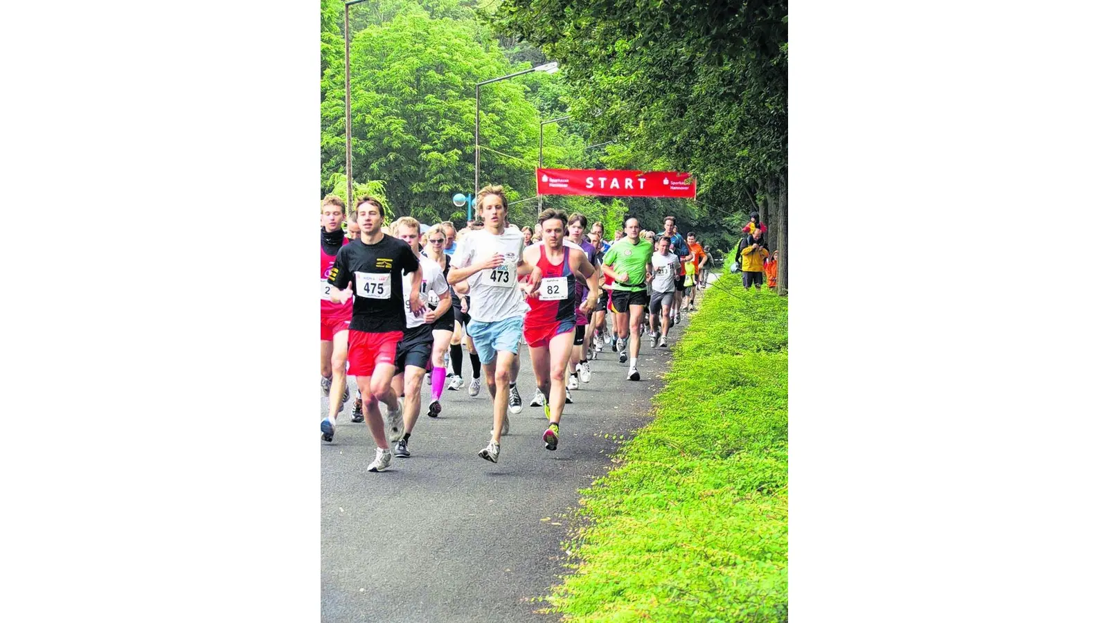 Beim Mittsommerlauf ist der Teilnehmerrekord in Sicht (Foto: gi)