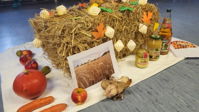 Für ein Foto zusammengestellt: Mitgebrachte Erntegaben. (Foto: privat)